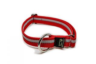 Dragrattan - Collar standard