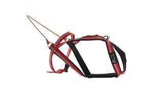 Dragrattan - Multi-Sport harness