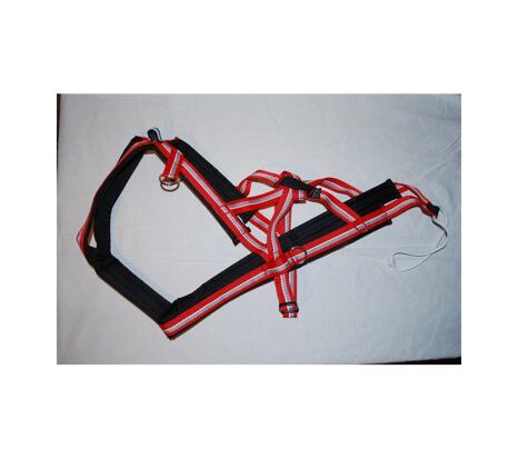 Dragrattan - Combined harness