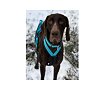 V.I.P Dogwear - Obojek standardní
